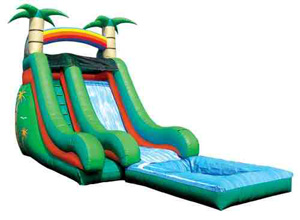 18' Tropical Backyard - Image 3