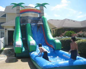 18' Tropical Backyard - Image 4