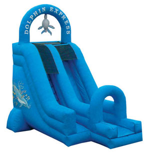 18' Dolphin Express WaterSlide - Image 6