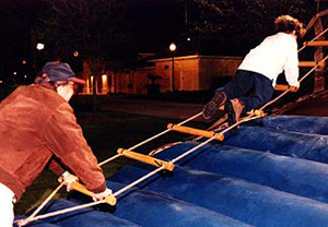 Bungee Bullride - Image 5