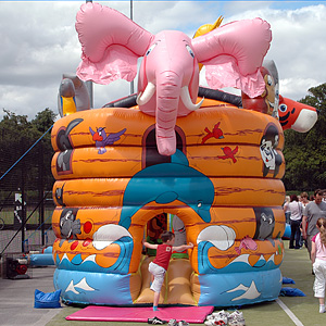 Noah's Ark Combo - Image 4