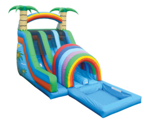 Double Rainbow Dry Slide - Image 3